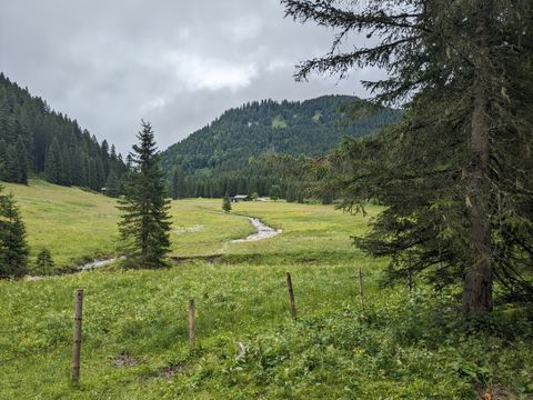 Scenery at Postalm: Meadows, two cottages in the distance, some fir trees and a small stream beneath a grey sky.