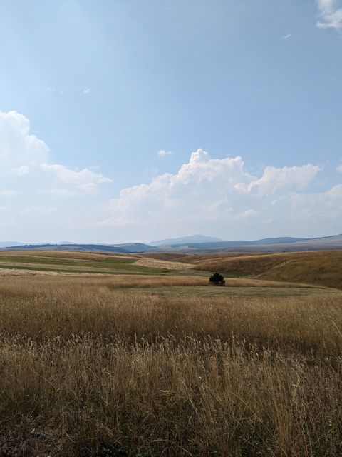 Landscape near Zlatibor.