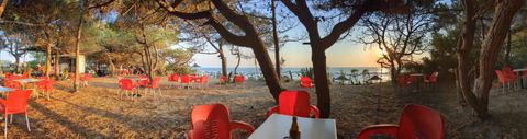 Panoramic image of a beach bar in the pine forrest at Spille.