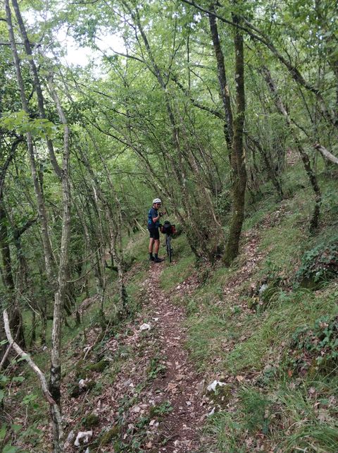 Photo of Paul pushing his bike on some forrest path